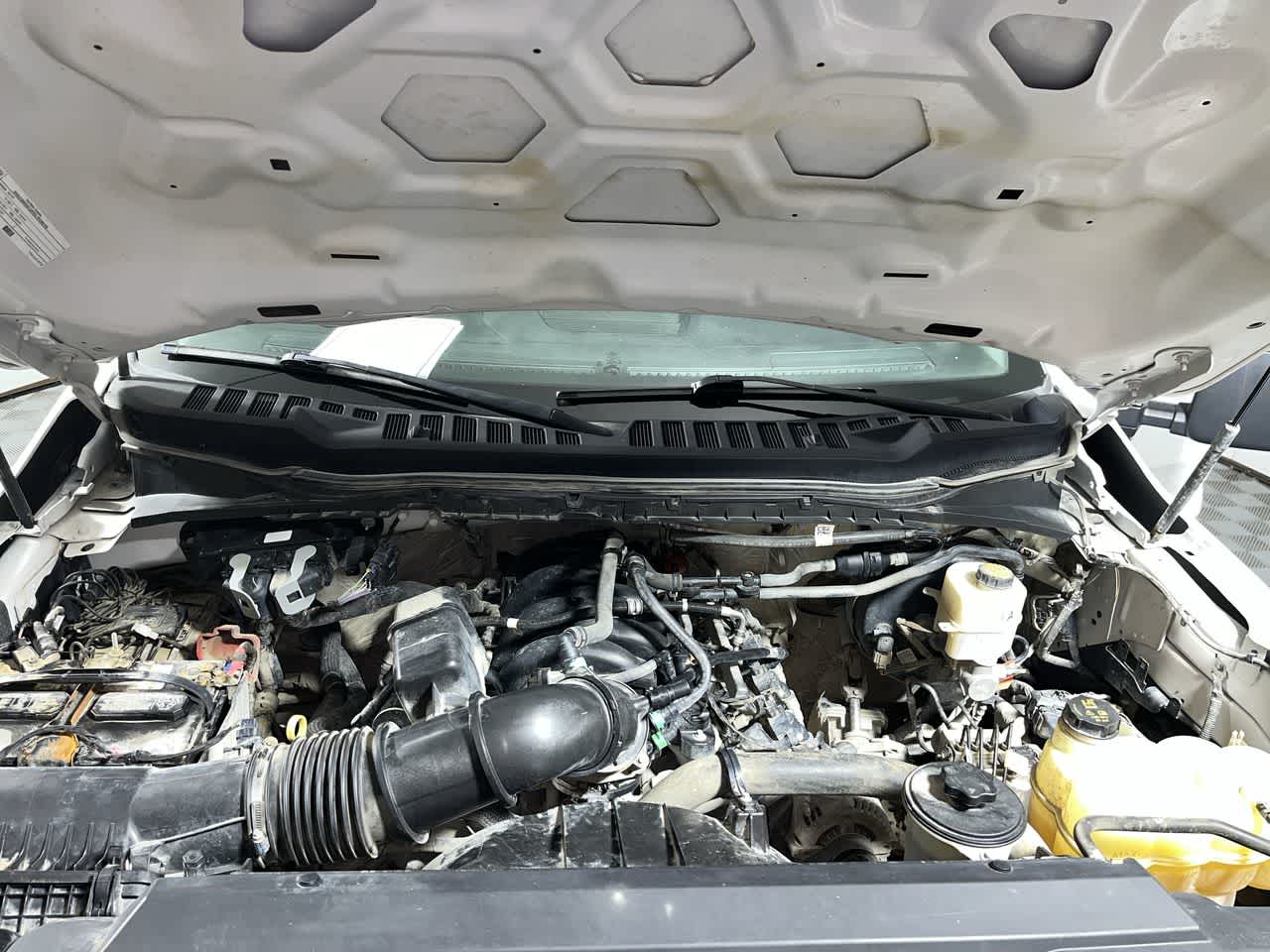 2023 Ford Super Duty F-250 Pickup XL