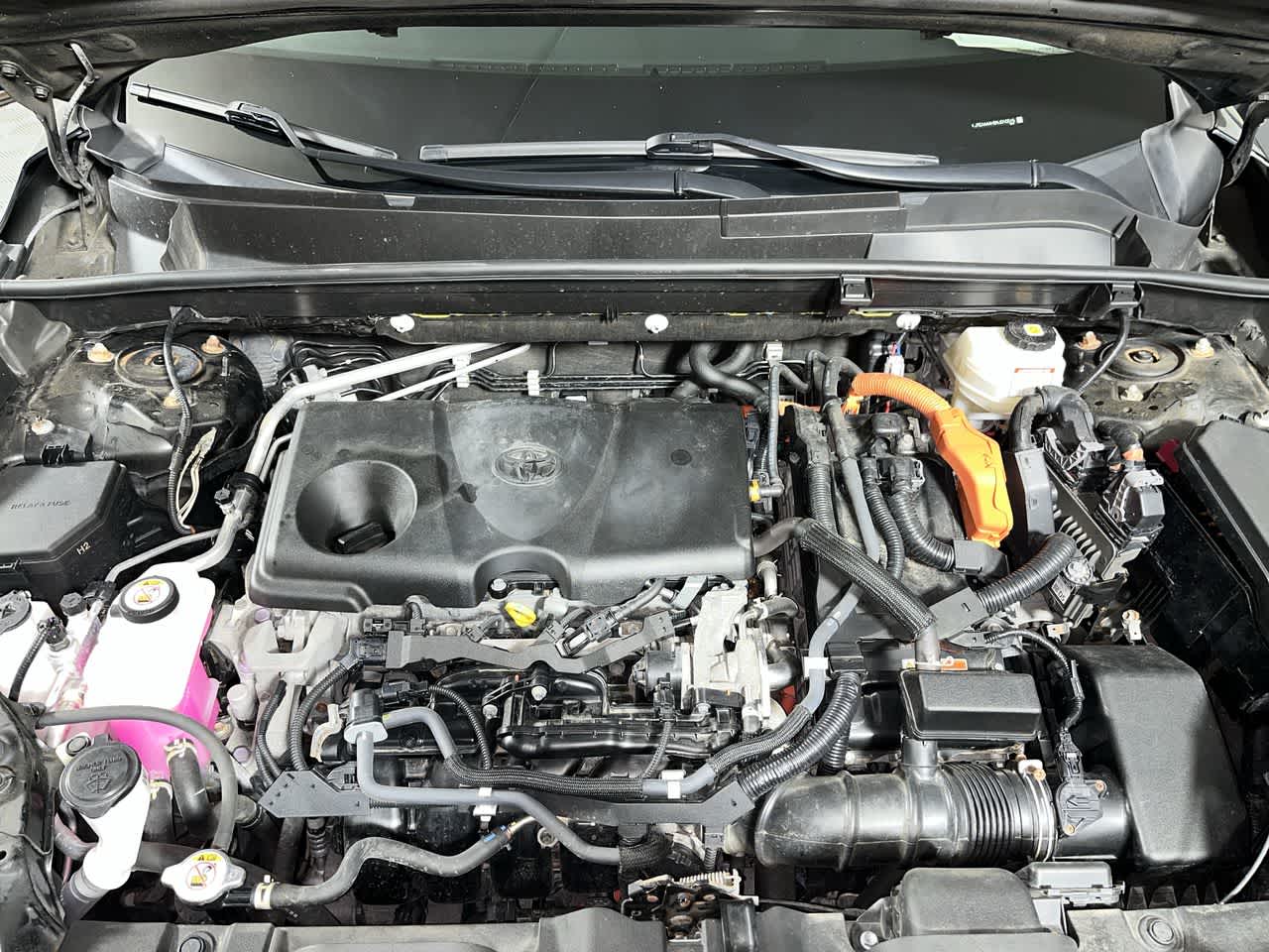 2021 Toyota Venza XLE